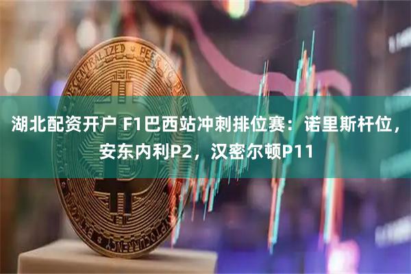 湖北配资开户 F1巴西站冲刺排位赛：诺里斯杆位，安东内利P2，汉密尔顿P11