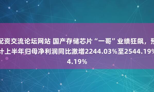 配资交流论坛网站 国产存储芯片“一哥”业绩狂飙，预计上半年归母净利润同比激增2244.03%至2544.19%